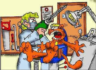 стоматолог-ветеринар